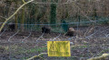 Tierpark Raisdorf