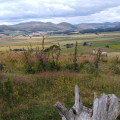 Across Doddington moor