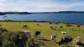 Toll point and Dennis Head from Nare Point