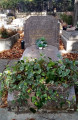 Tombe de Josette Clotis