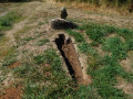 La Narse de Lascols