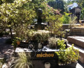 Michou&rsquo;s grave