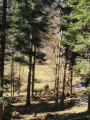 Tonbach6