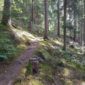 Tonbach8