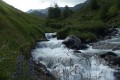 Torrent de l'Estibère Male Torrent de l'Estibère Male