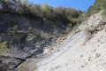 Torrent du Cheynet