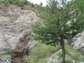 Torrent du Coulet