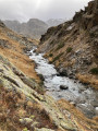 torrent