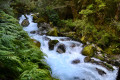 Torrent