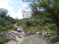 Torrent Torrent
