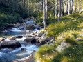 Torrente Troncone Torrente Troncone