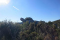 Tortue