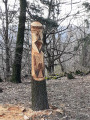 Totem