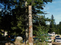 Totem