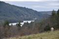 Toujours le lac au loin