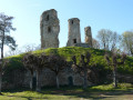 Tour Anne de Bretagne