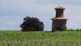 Tour au milieu des vignes du chateau Loudenne.