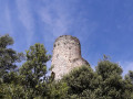 Tour en forêt de Corsavy