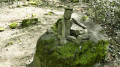 Tour de la Chapelle Saint Clément Tour de la Chapelle Saint Clément
