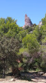 Tour Sarrasine