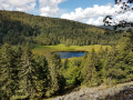 Tourbière du Marchais