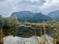 Tourbières de l’Herrétang