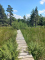 Sentier des tourbières à Lajo