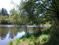 Lac de Laprade par les tourbières Lac de Laprade par les tourbières