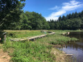 Lac de Laprade par les tourbières Lac de Laprade par les tourbières