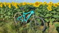 Tournesols