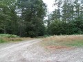 Le Bois de Chaleix à Bugeat Le Bois de Chaleix à Bugeat