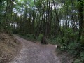 En s'éloignant de l'Ètang de Lachamp