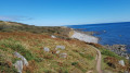 Towards Lowland Point