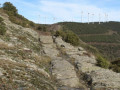 Traces de charettes au Pas de Monsarrat