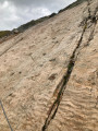 Traces des dinosaures Traces des dinosaures