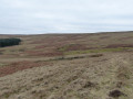 Track above the collapsed quarry to the wooden post right of the disused shaft