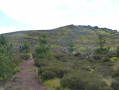 Track back to Dove Crag