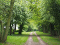 Track through to Brome hall