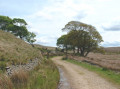 Great Hill from White Coppice