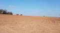 Tractors ploughing fields