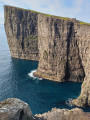 Trælanípa