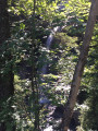 Trail du 21/08/21