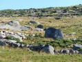 Transhumance 2