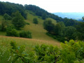 Traufgang Wiesenrunde