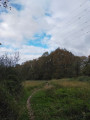 Traversée de clairière