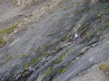 Traversée de la ravine en ouest des Lauzettes.