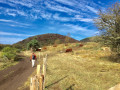 Puy des Goules, Puy des Gouttes Puy des Goules, Puy des Gouttes