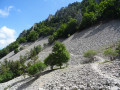 Traversée de pierrier, Ventoux