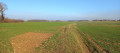 Traversée des champs