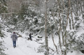 Traversée du ruisseau de l'Étroit au point culminant